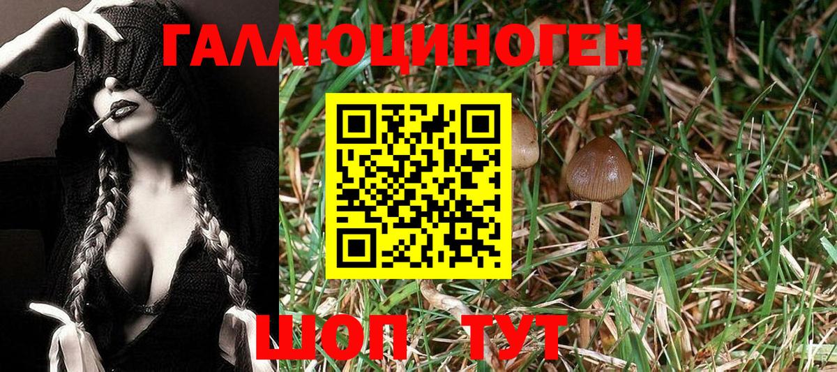 Галлюциногенные грибы GOLDEN TEACHER  Галлюциногенные грибы GOLDEN TEACHER  Выкса  Вход с VPN 